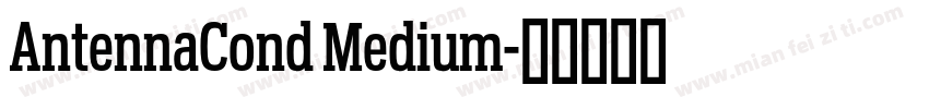 AntennaCond Medium字体转换